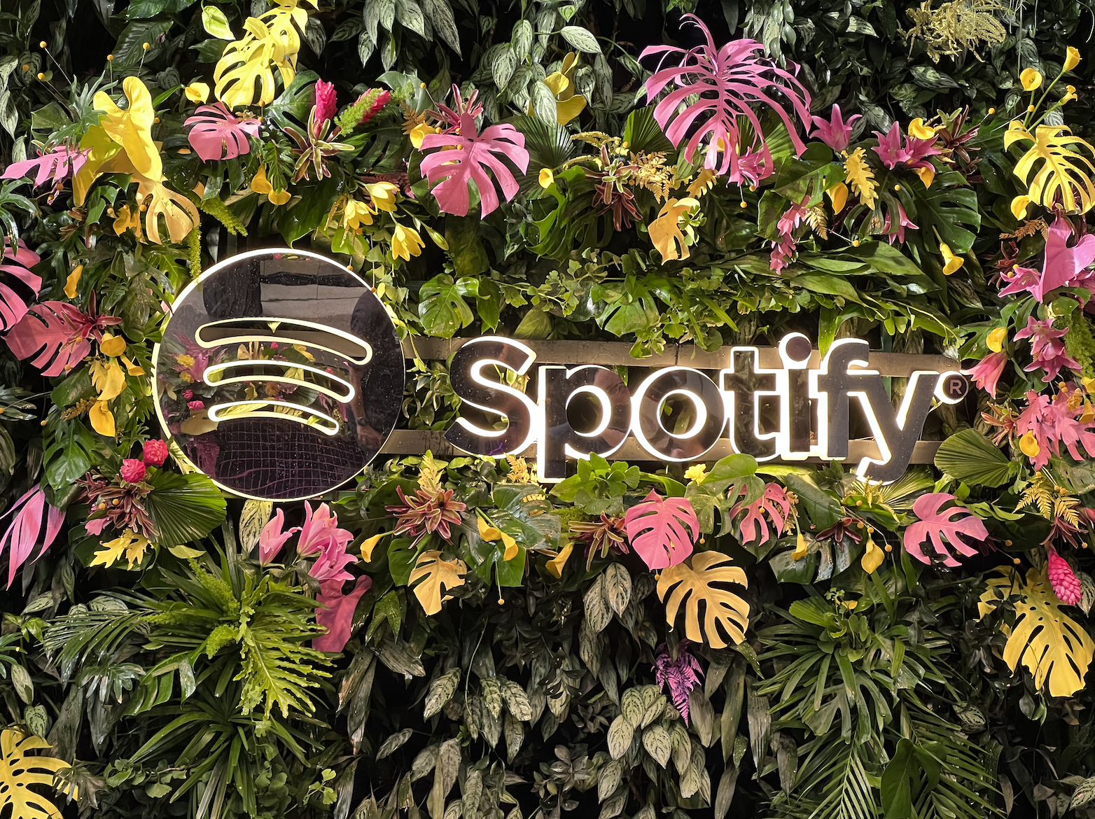 Fim De Ano - Spotify-0