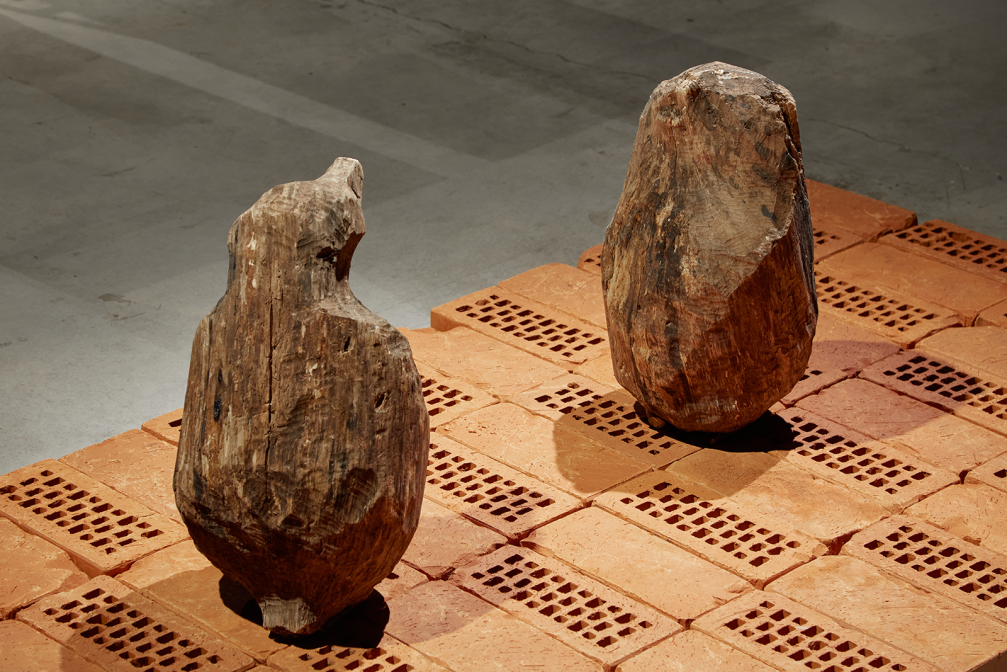 Izstādes «Dekoloniālās ekoloģijas» arhitektūra — «Gaiss» ← FOLD-9