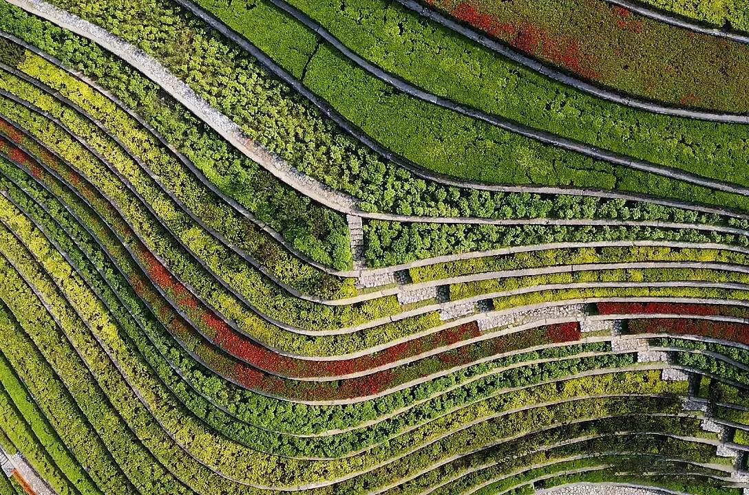 大地指纹 – 奢香古镇古彝梯田丨中国贵州-45