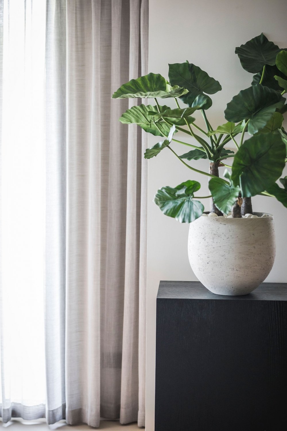 丨西班牙丨Kabaz-57