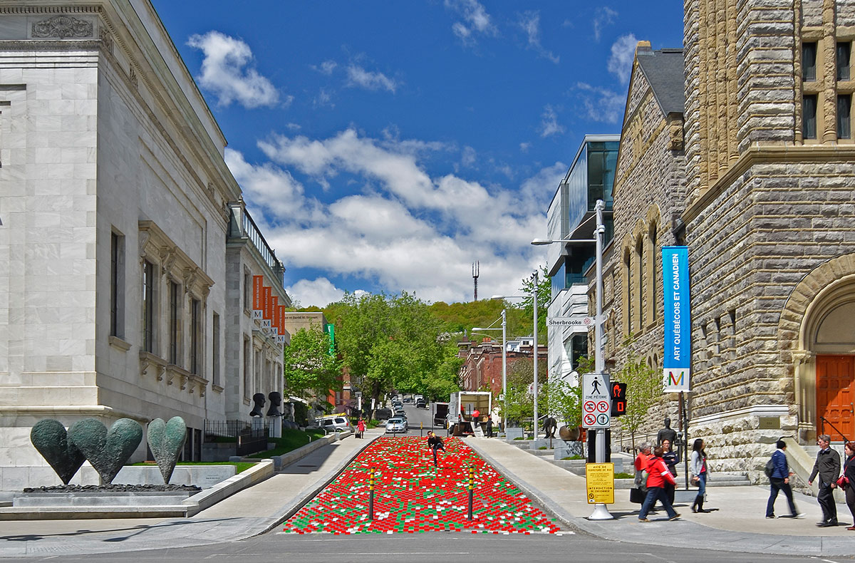蒙特利尔街头的“向日葵田”丨加拿大蒙特利尔丨TOM II-10