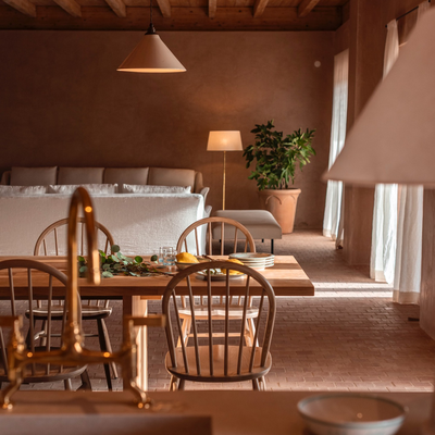 玫瑰岩别墅丨Manuel Aires Mateus-21