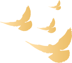 庆祝西藏民航通航60周年|海拔高，境界更高！跨越世界屋脊献哈达-1