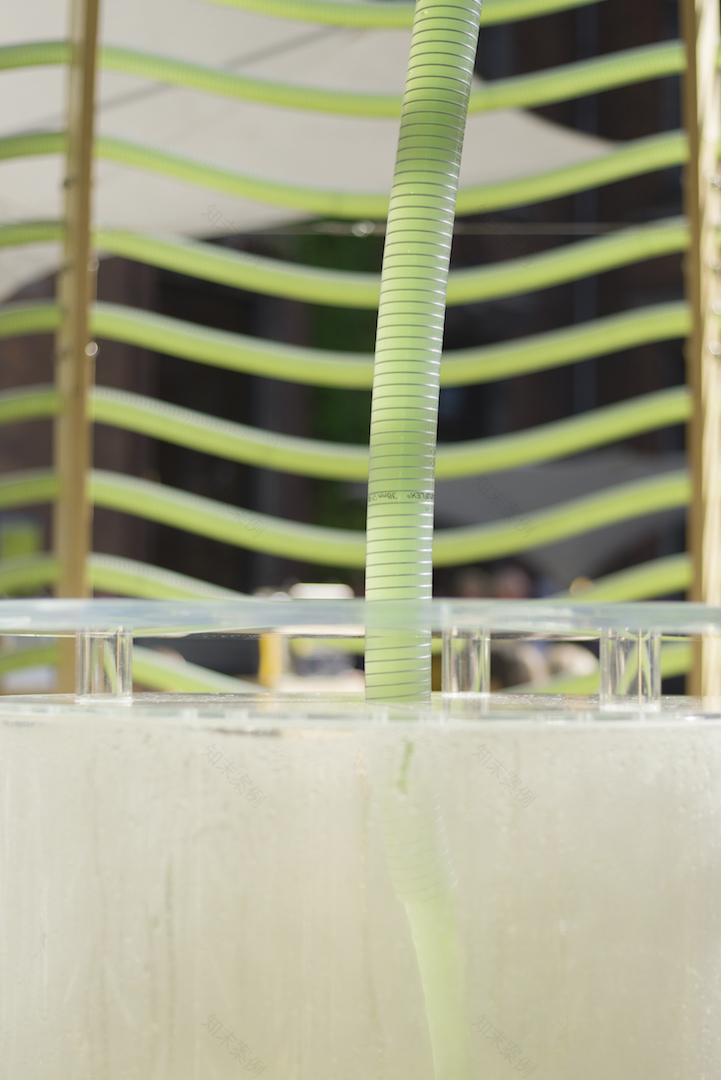 SPACE10’s Algae Dome Can Potentially Solve the World’s Biggest Problems-11