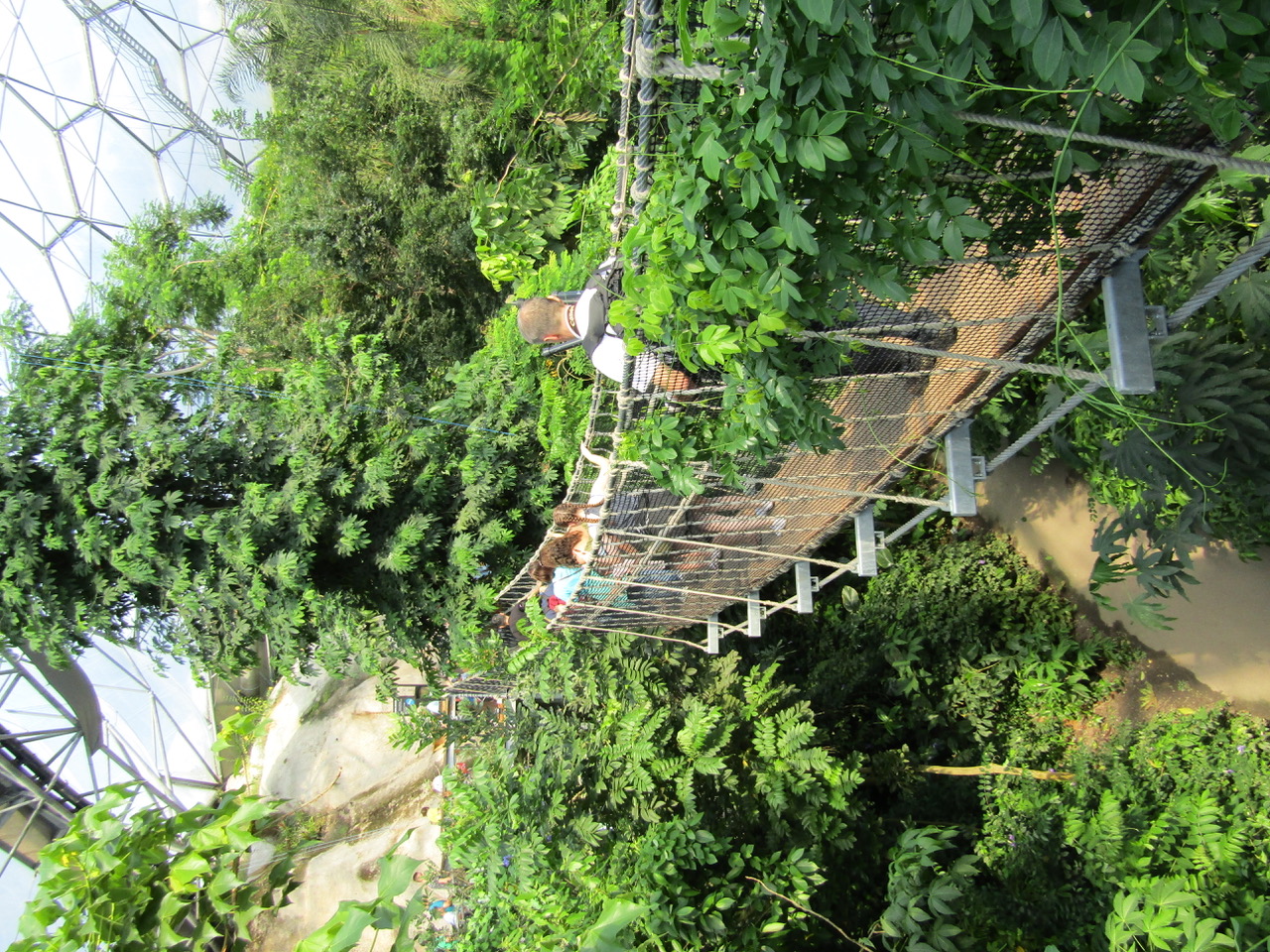 创意户外空间 | 2016 年建成的伊甸园项目-15