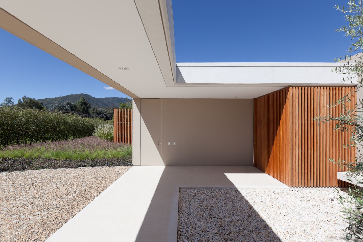 40 岁卡萨 · 与自然共生的单一层次住宅-31