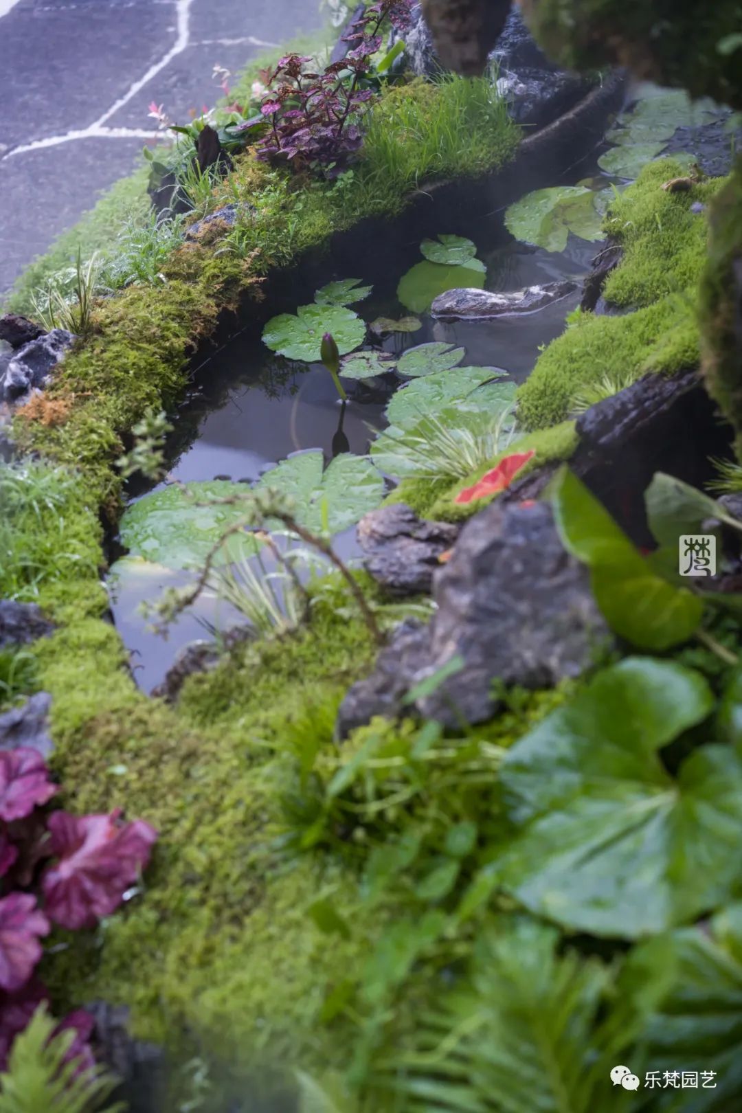 龙湖景粼玖序屋顶花园·隐逸庭丨乐梵园艺-51