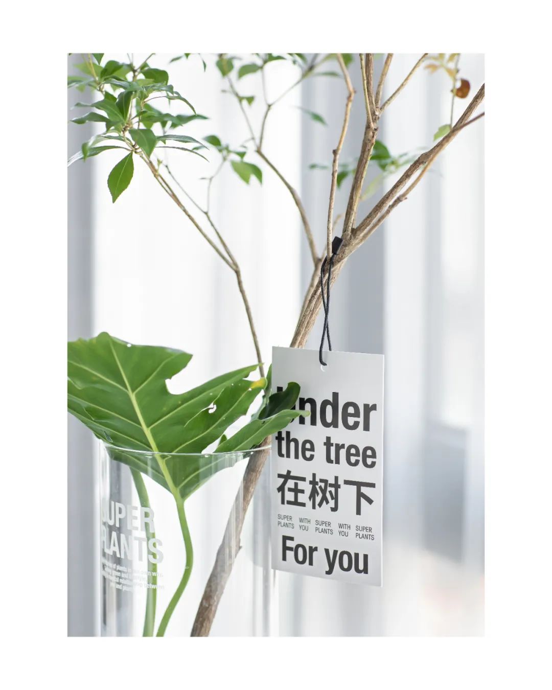 开放自由的家居设计丨目后设计-0