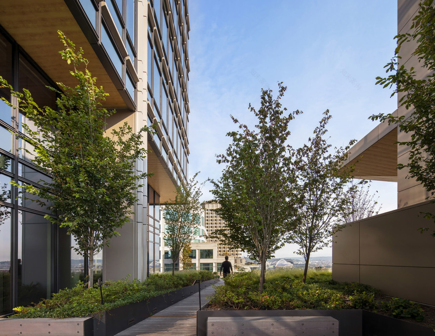 2+U 大厦丨美国西雅图丨Pickard Chilton-31