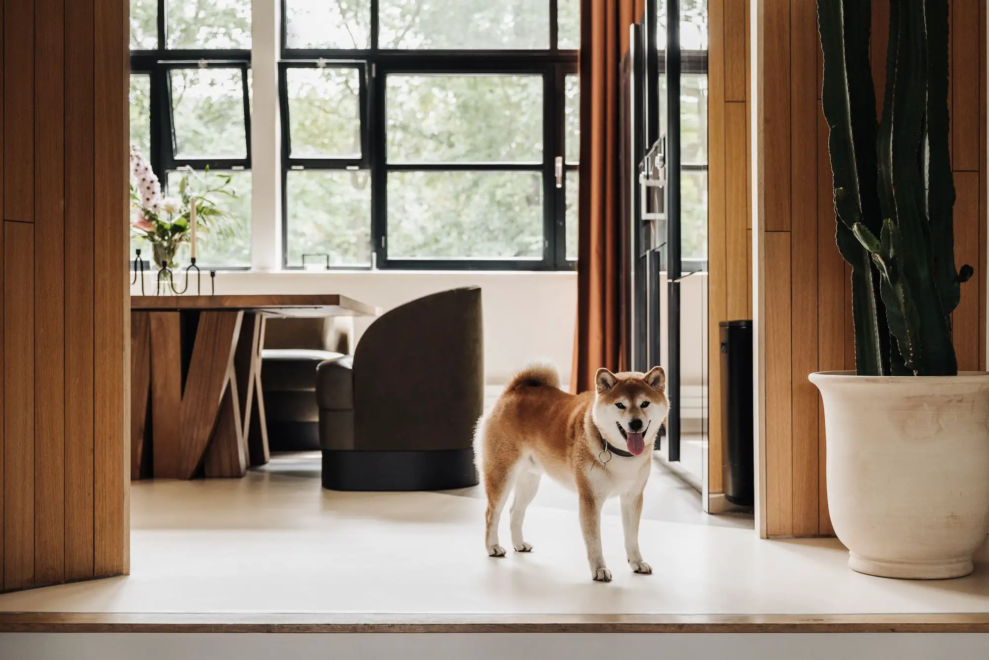 阿姆斯特丹昔日船坞，如今精致中性之家-9