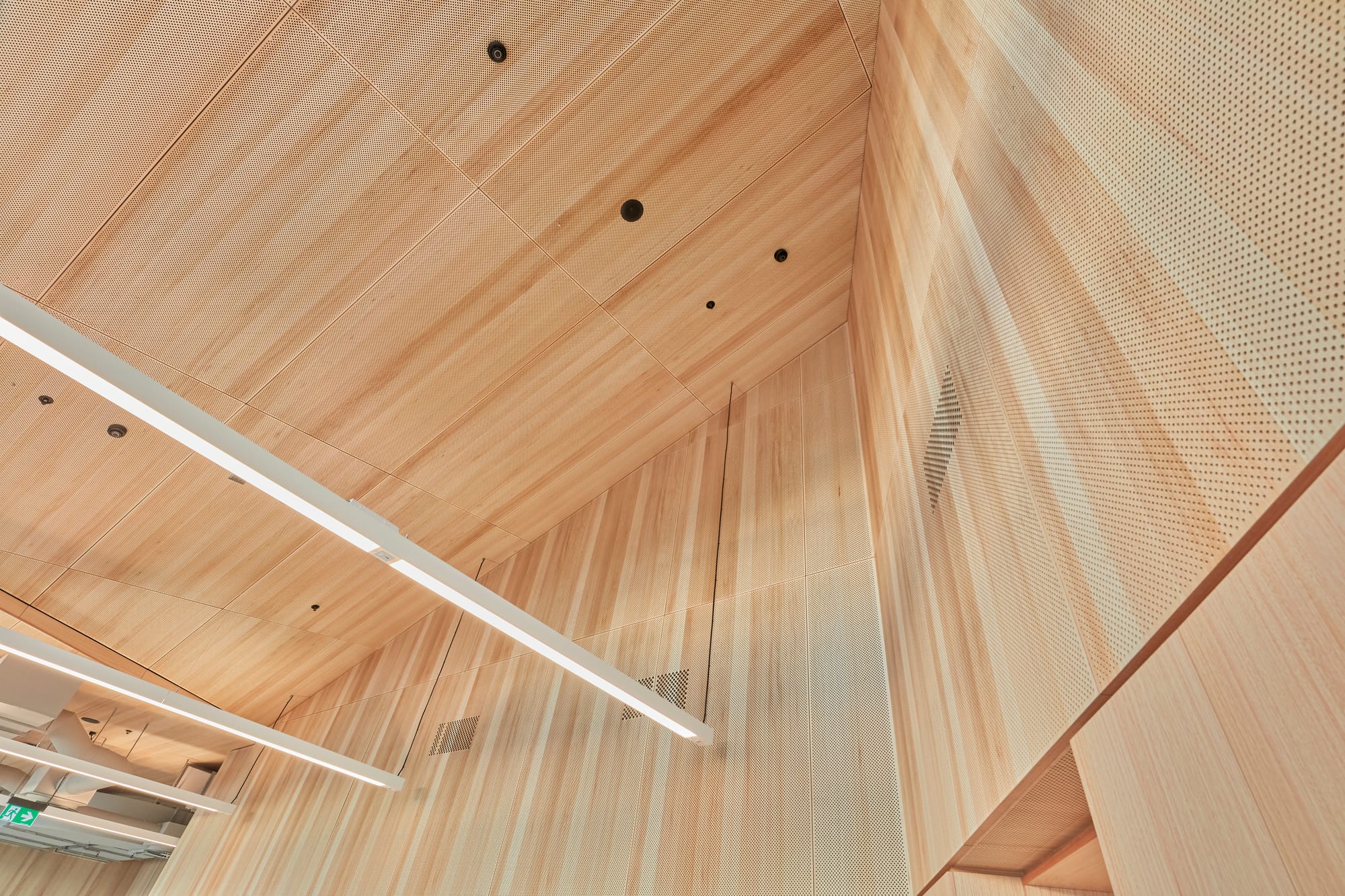 Tasmanian Timber Series: River's Edge-15