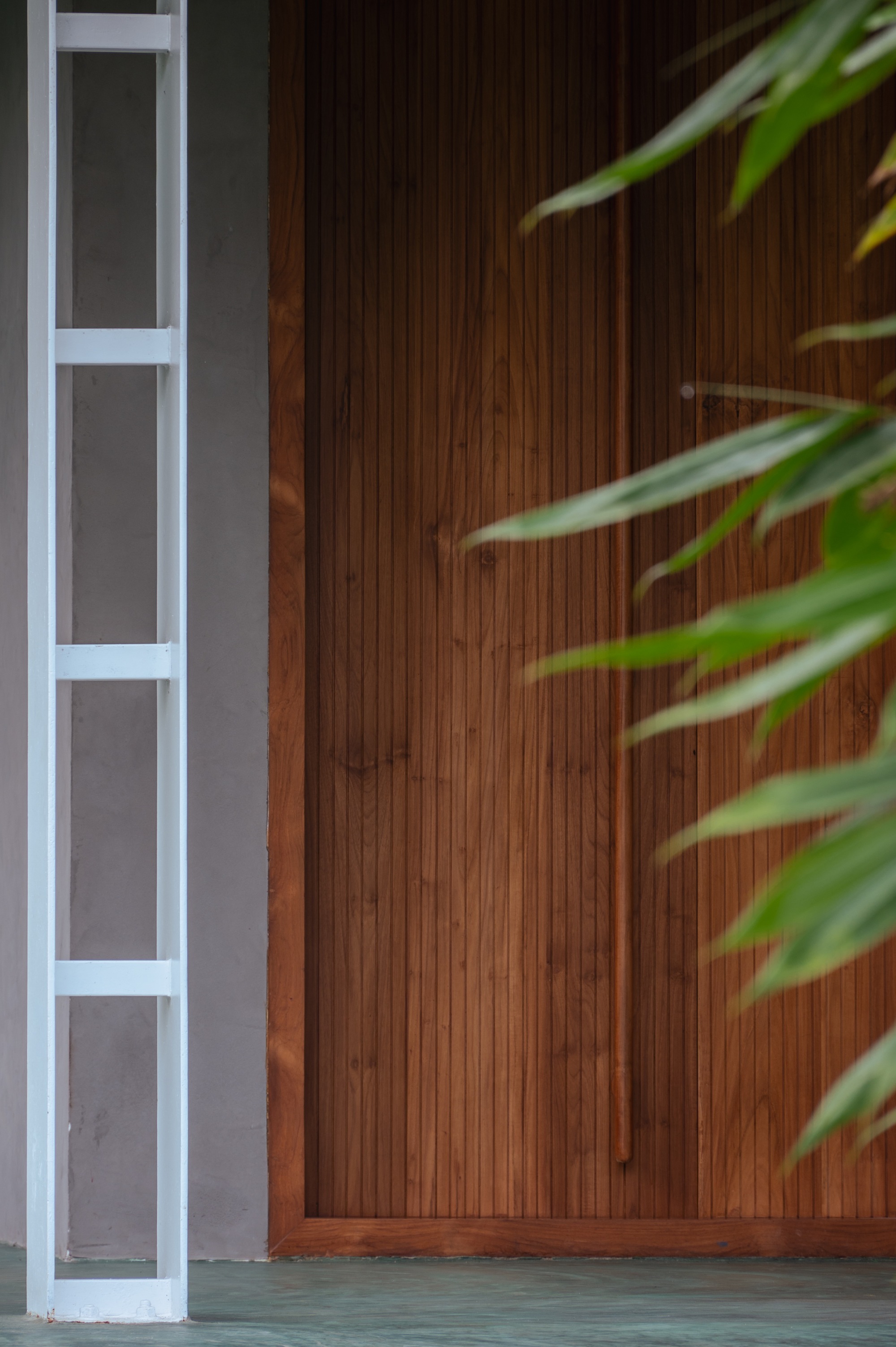 丨印度丨3dor Concepts-41