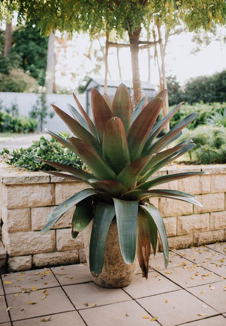 赫斯基森项目  GNK景观设计公司（这里GNK为特定名称，若无更多背景难以更精准翻译，推测一般为专业领域的公司名称，Landscapes可理解为景观设计公司等相关含义） -24