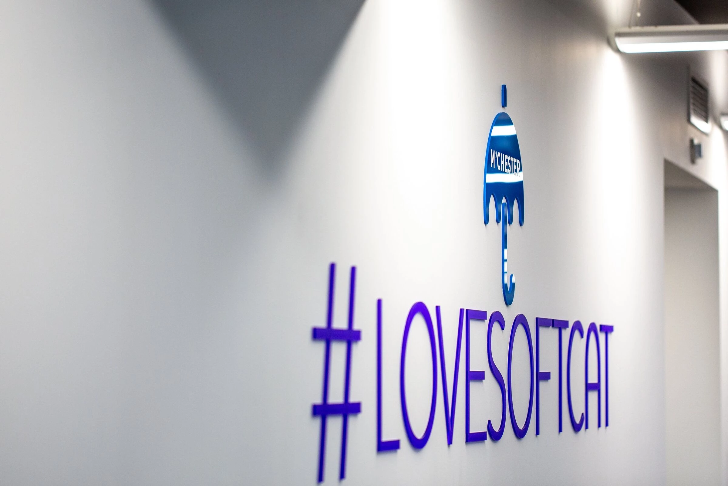 软猫曼彻斯特办公室 | 佩尔顿·罗斯-28