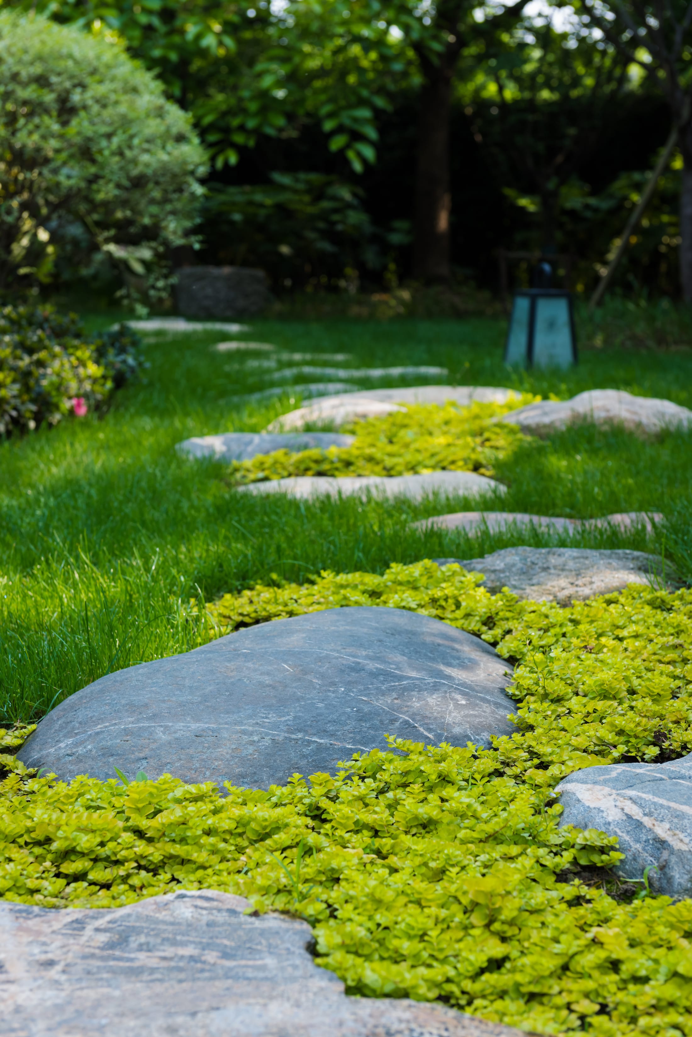 西溪.新荣记 Xixi. Xin Rong Ji / 大拙建筑空间摄影-13