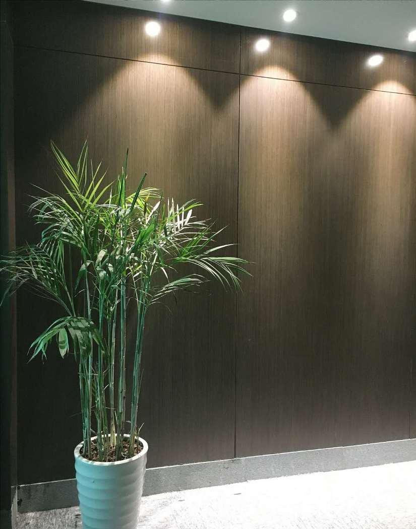 
力天营筑（现代风办公室） -6