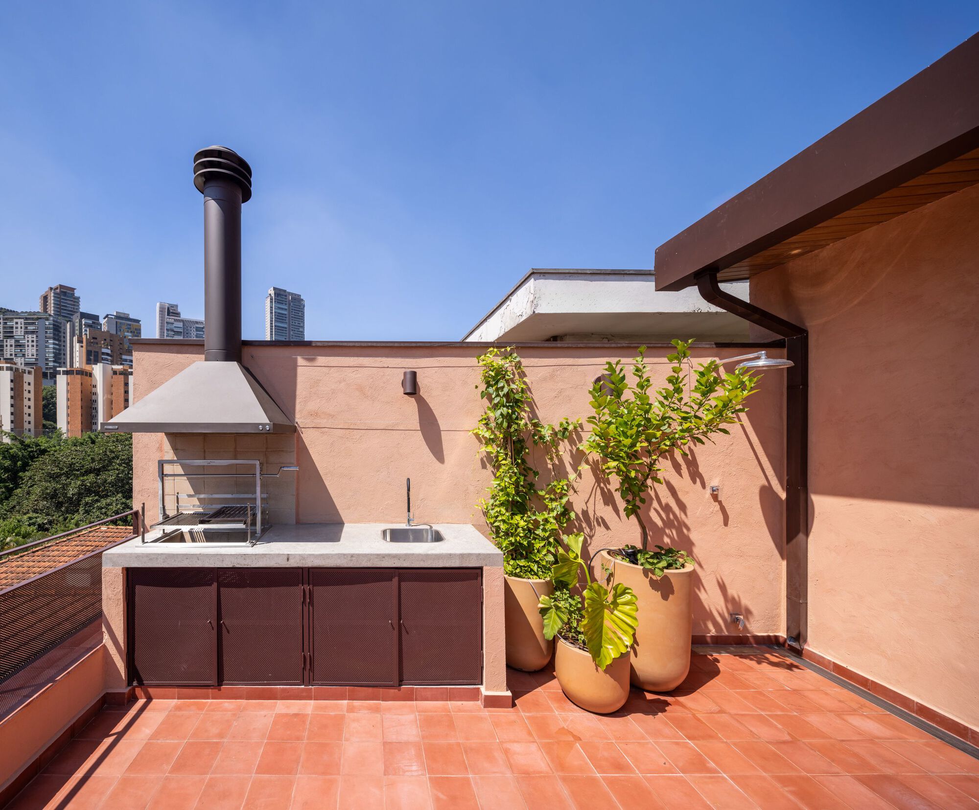 Corujas 屋 或 Corujas 住宅丨巴西圣保罗丨Goiva Arquitetura-29