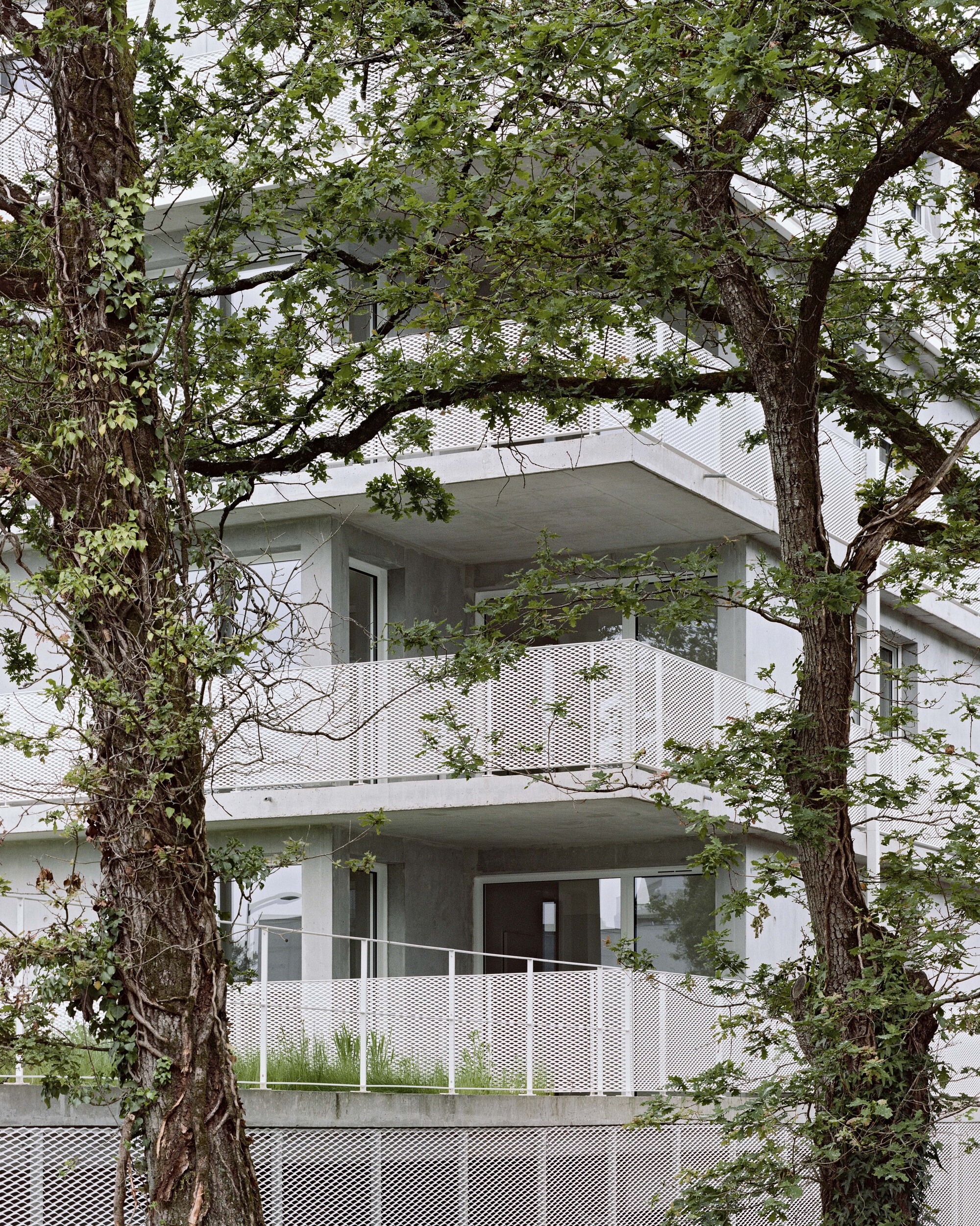 巴什住宅丨法国丨Philippe Dubus Architectes-28