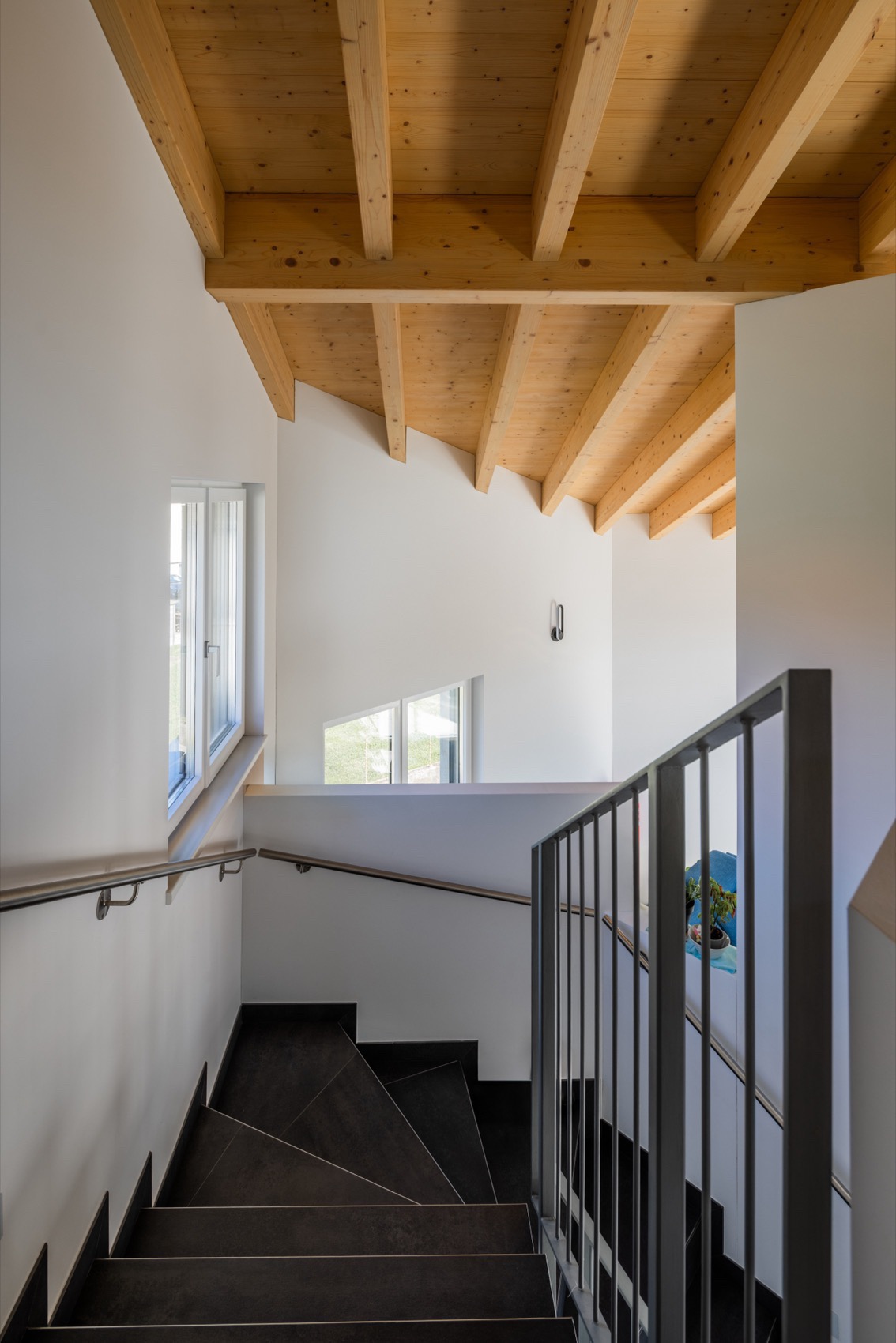 瑞士屋XL丨Davide Macullo Architects-49