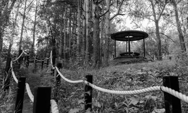 Шагни за горизонт:公园及滨水区域翻新丨俄罗斯丨Orchestra Design,巴什基尔城市与乡村发展研究所等-27