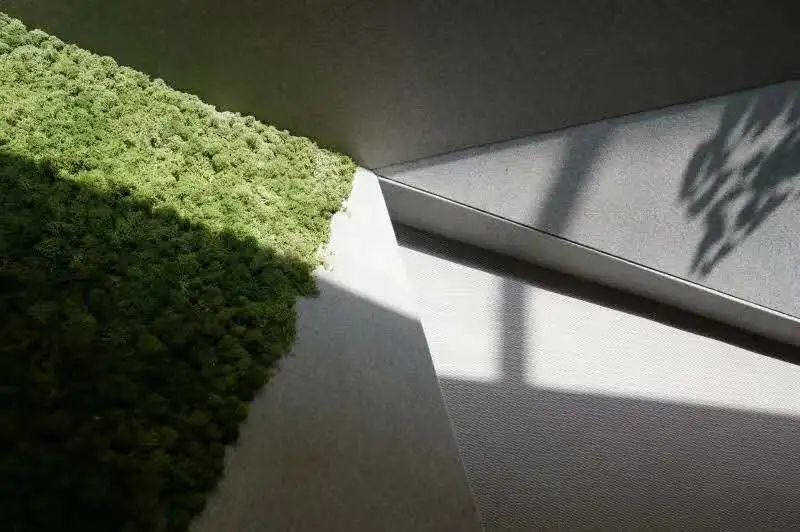 合肥华侨城半汤温泉小镇体验中心│自然艺术共生,情感共鸣-0