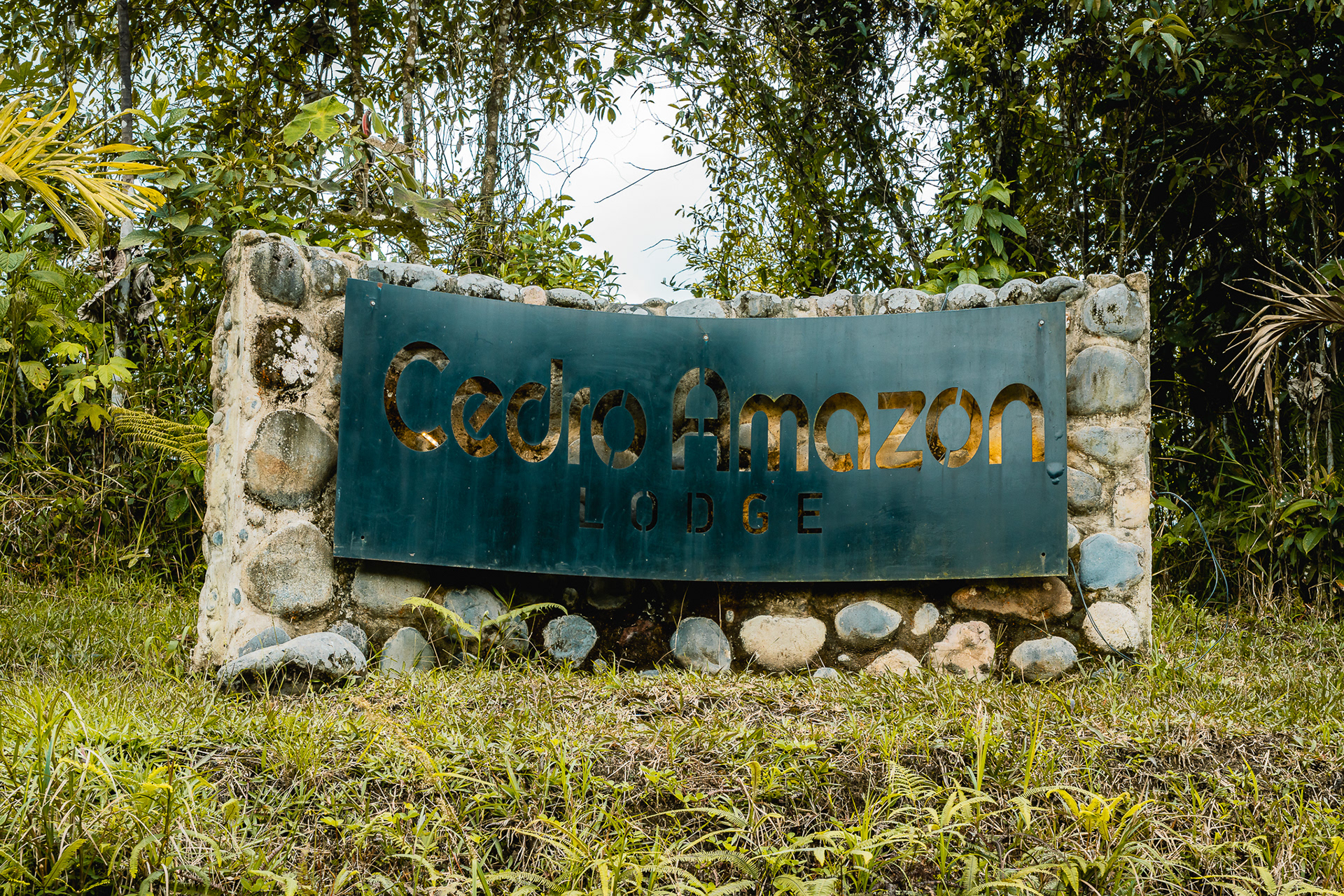 Cedro Amazon Lodge-16
