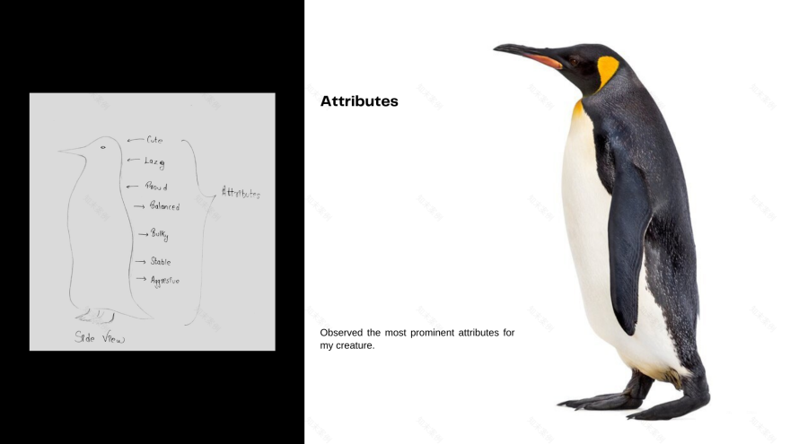 企鹅(花瓶)自然与形式丨Rahul Ashok Barve-17