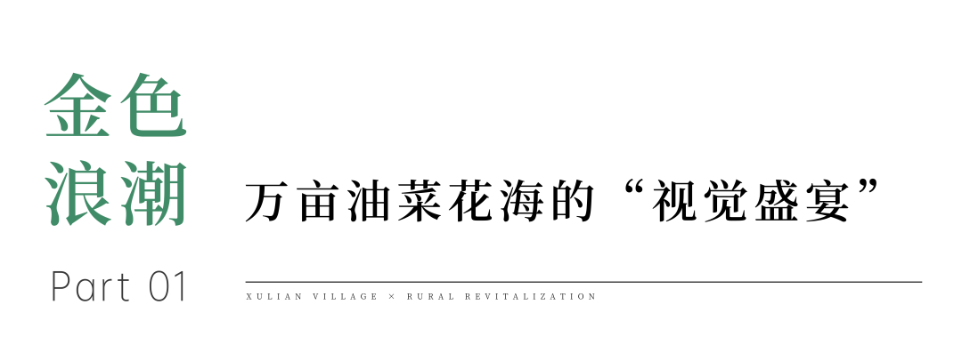 境作|恋“练”春光，“宝藏”踏青地：青浦徐练村，有多好逛？-39