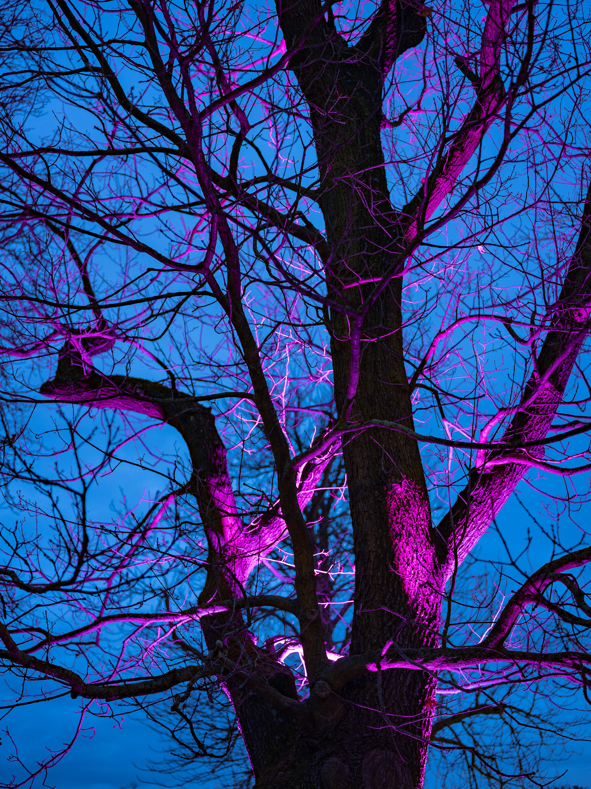 冬日之光丨德国-23