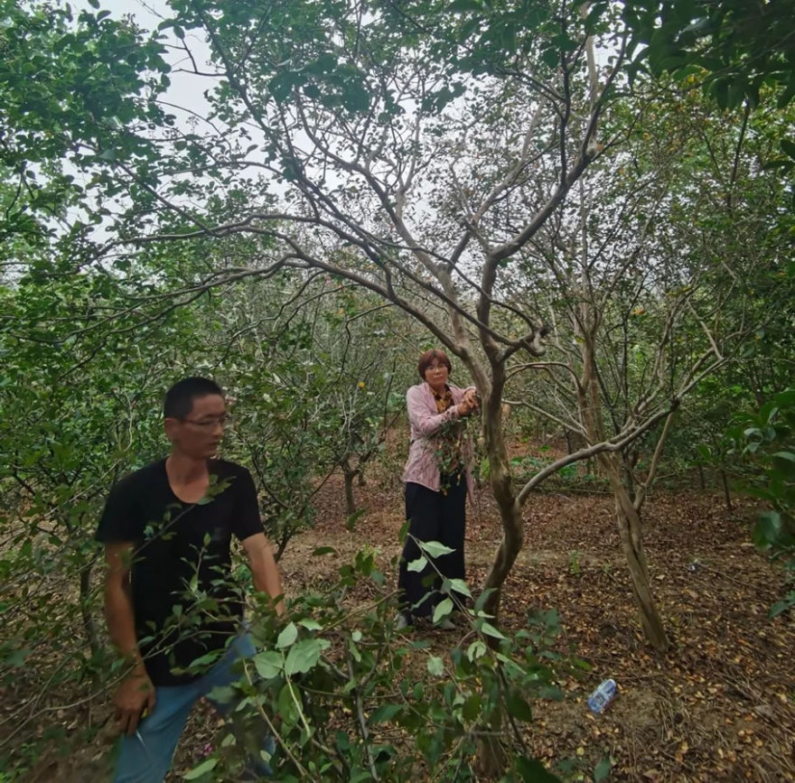 杭州·云翠金澜府丨中国杭州丨上海澜道佑澜环境设计有限公司-52