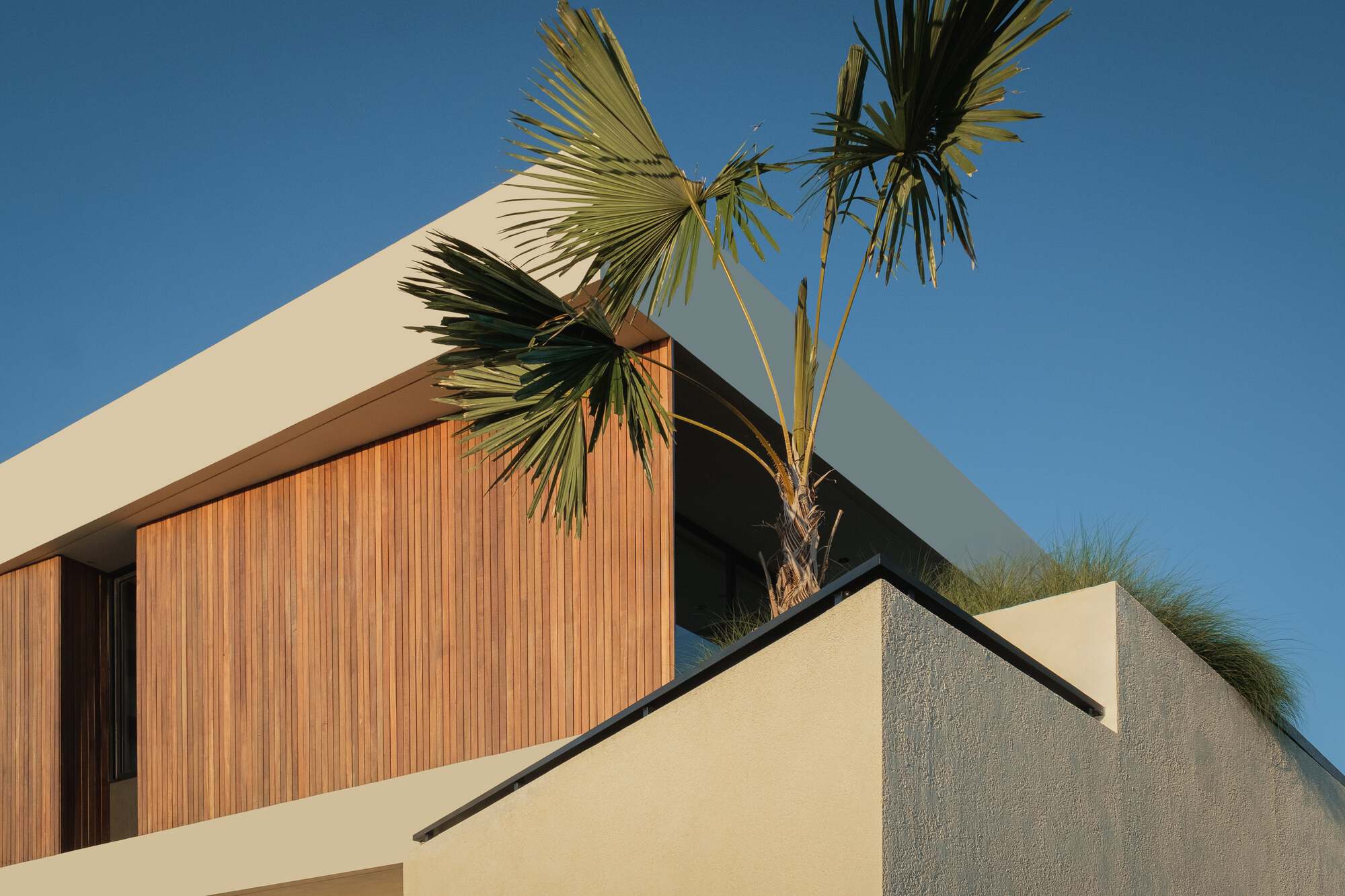 丨印度丨Studio Tanama-43