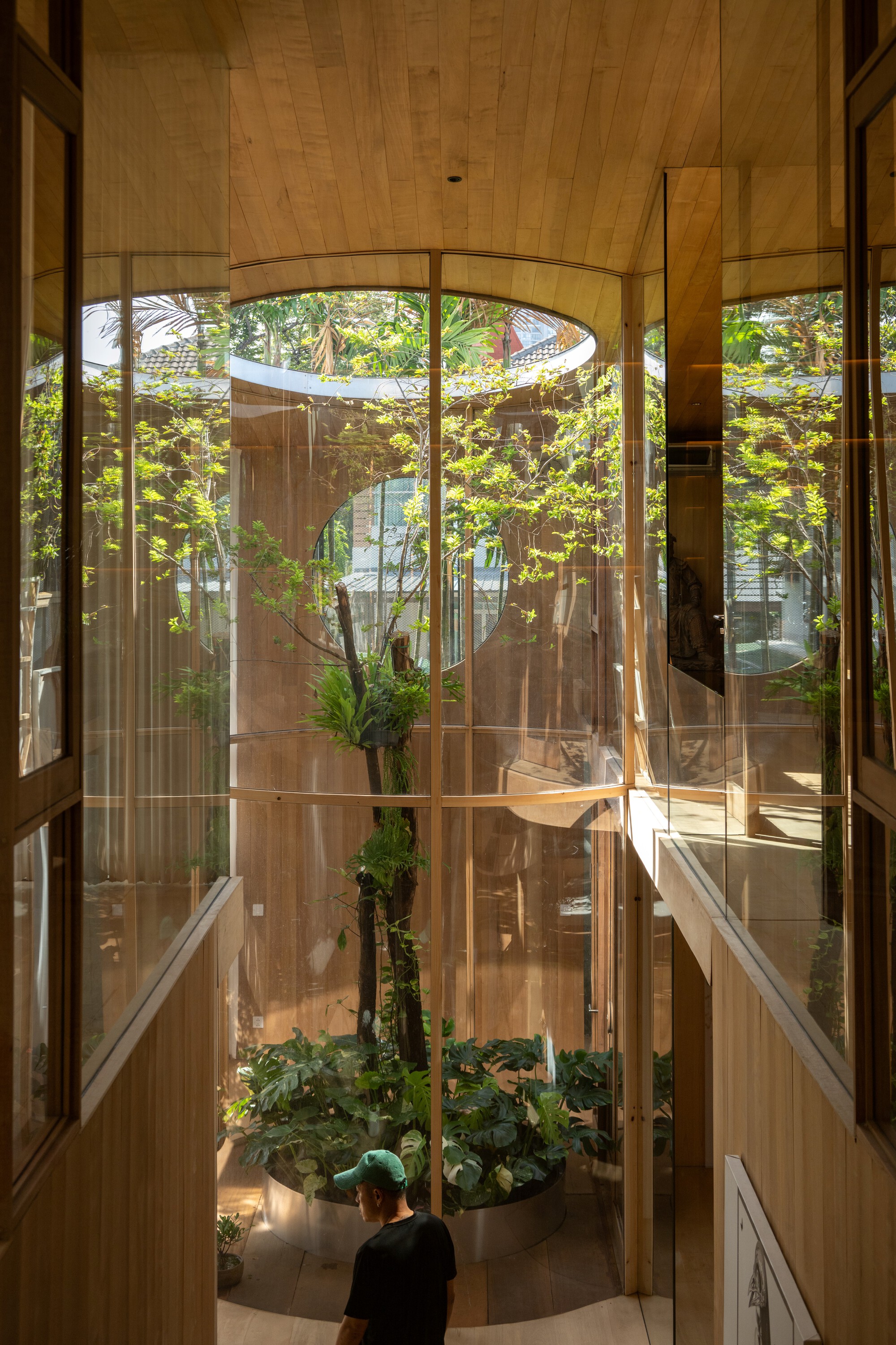 玻璃温室房丨泰国曼谷丨Unknown Surface Studio,REAL AS TECT-40