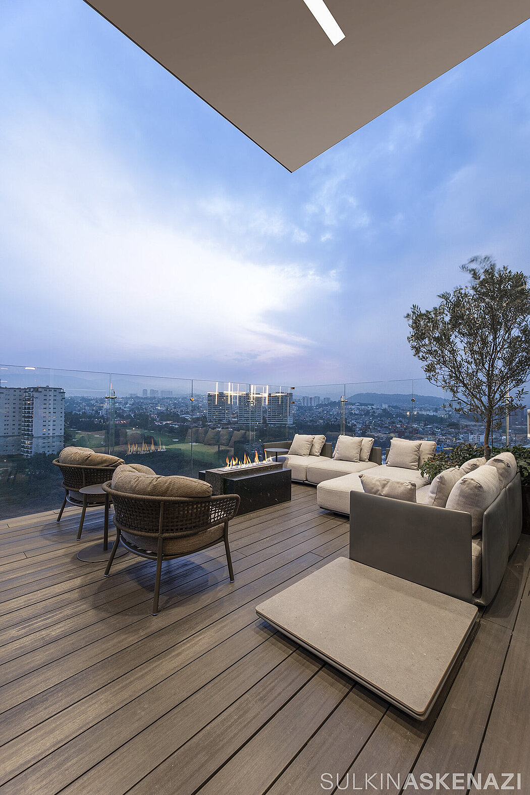 Elevia 公寓丨墨西哥墨西哥城丨Sulkin Askenazi-5