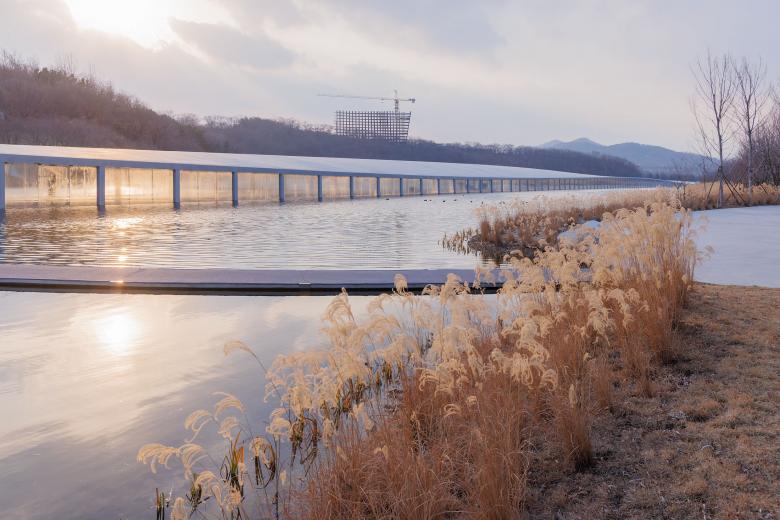 Zaishui 美术馆丨中国日照丨junya ishigami + associates-4