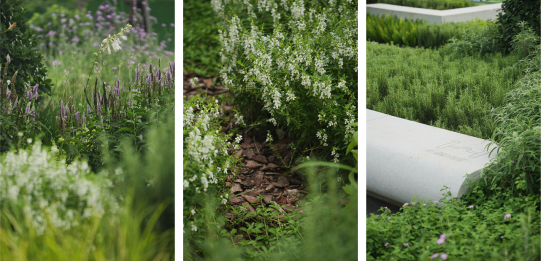 江滩浪潮公园 | 武汉长江天地-48