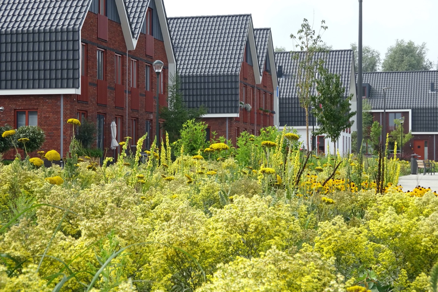 荷兰线性公园丨LOOSvanVLIET-14