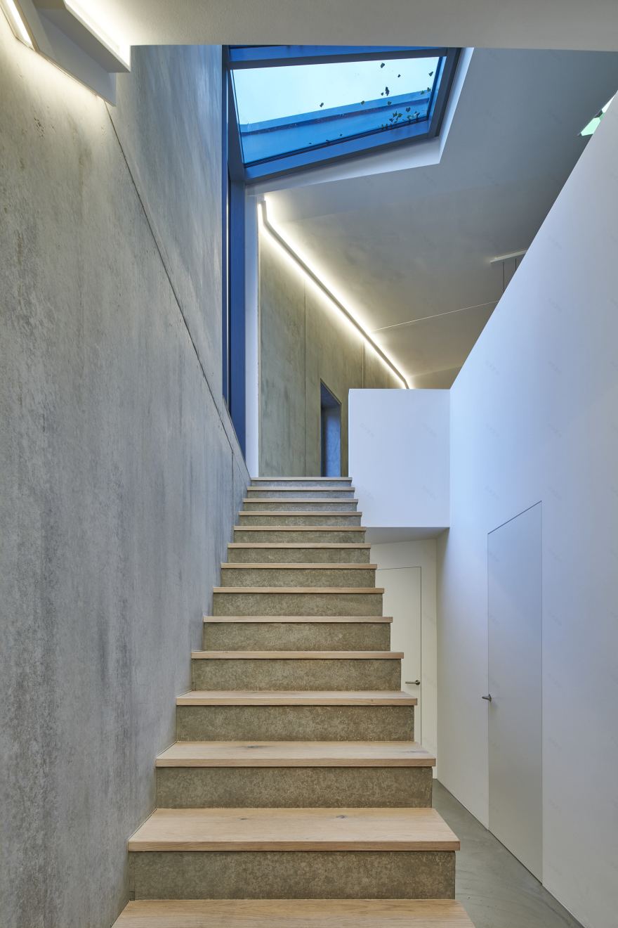 城堡山下的住宅与古橡树共生-14