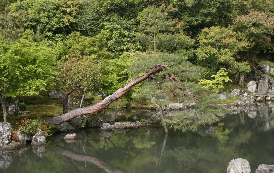 梦窗疏石·禅庭闲寂丨日本-90