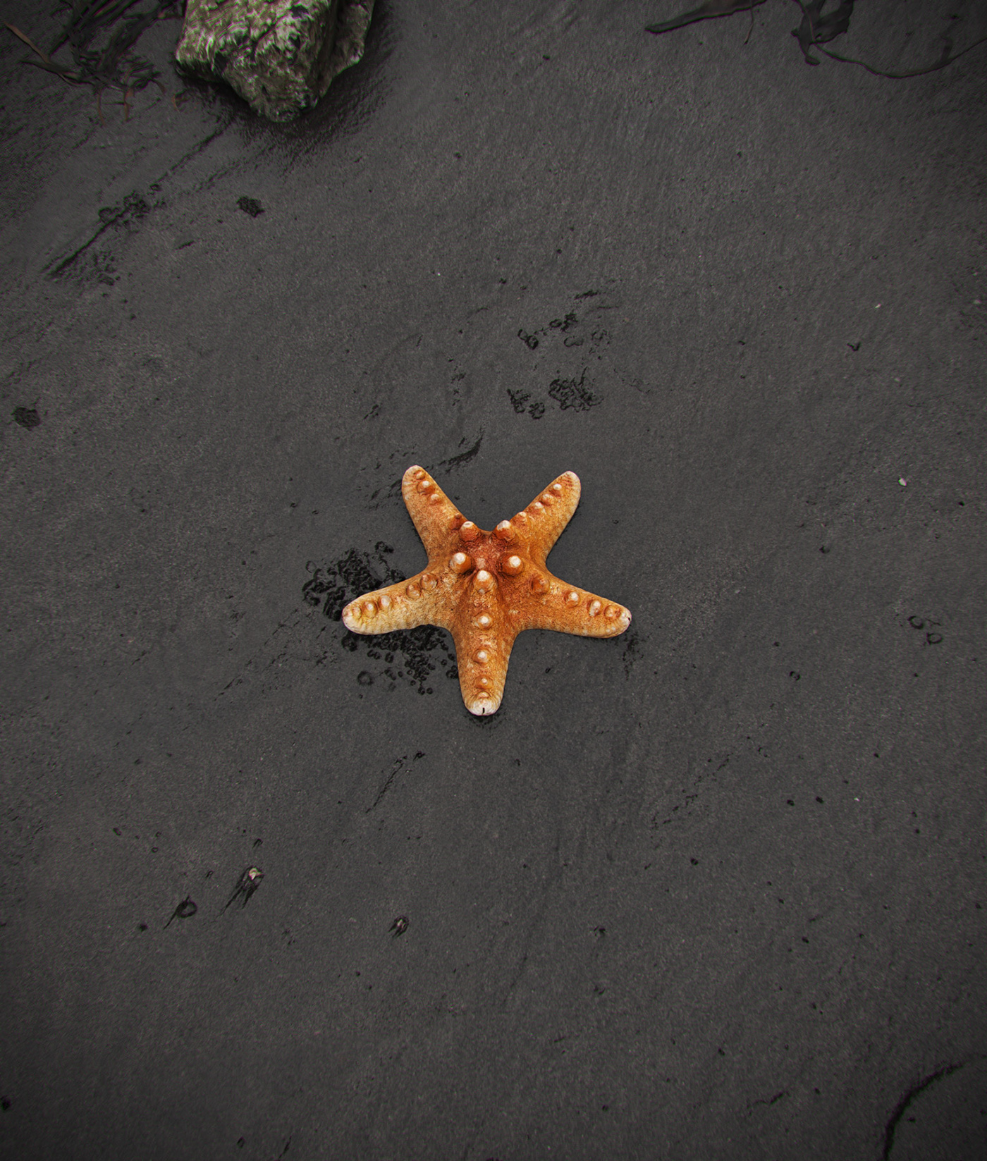 北欧海滩度假酒店概念丨Guilherme Alexandre-4