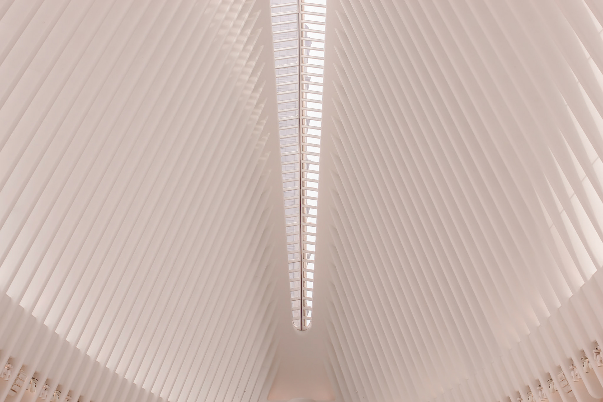 纽约建筑结构摄影丨美国纽约丨John D. Williams-14