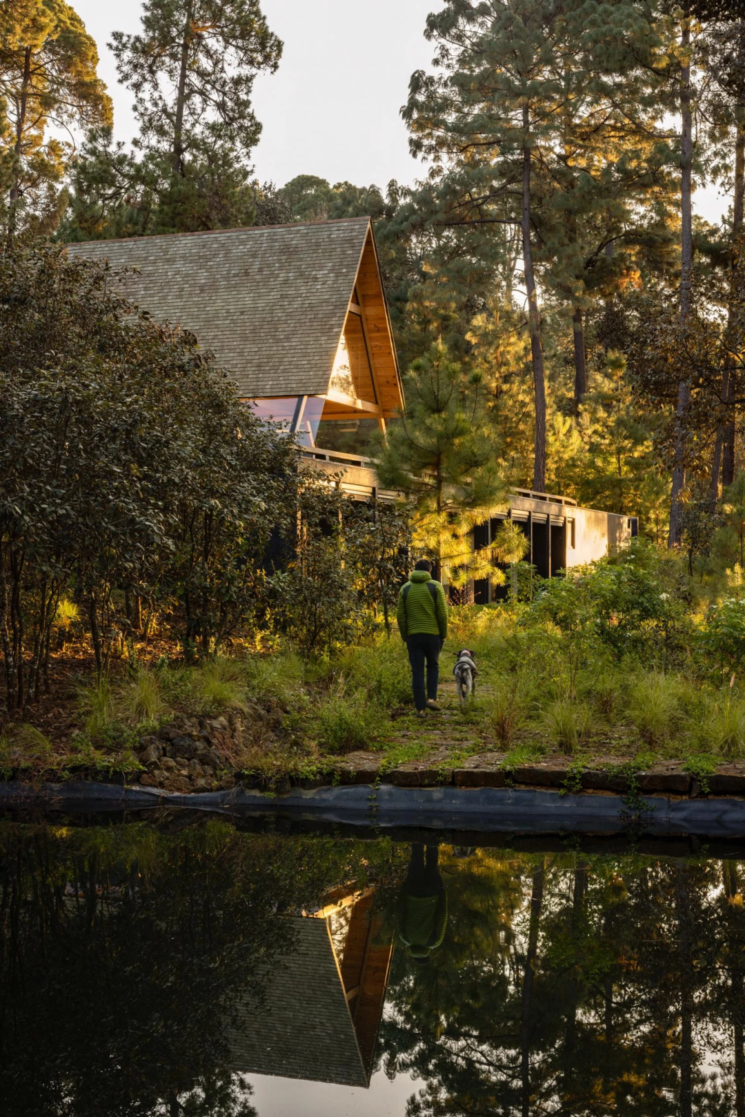 自然与永恒的融合 | 墨西哥建筑师Pablo Pérez Palacios的自然美学设计-10