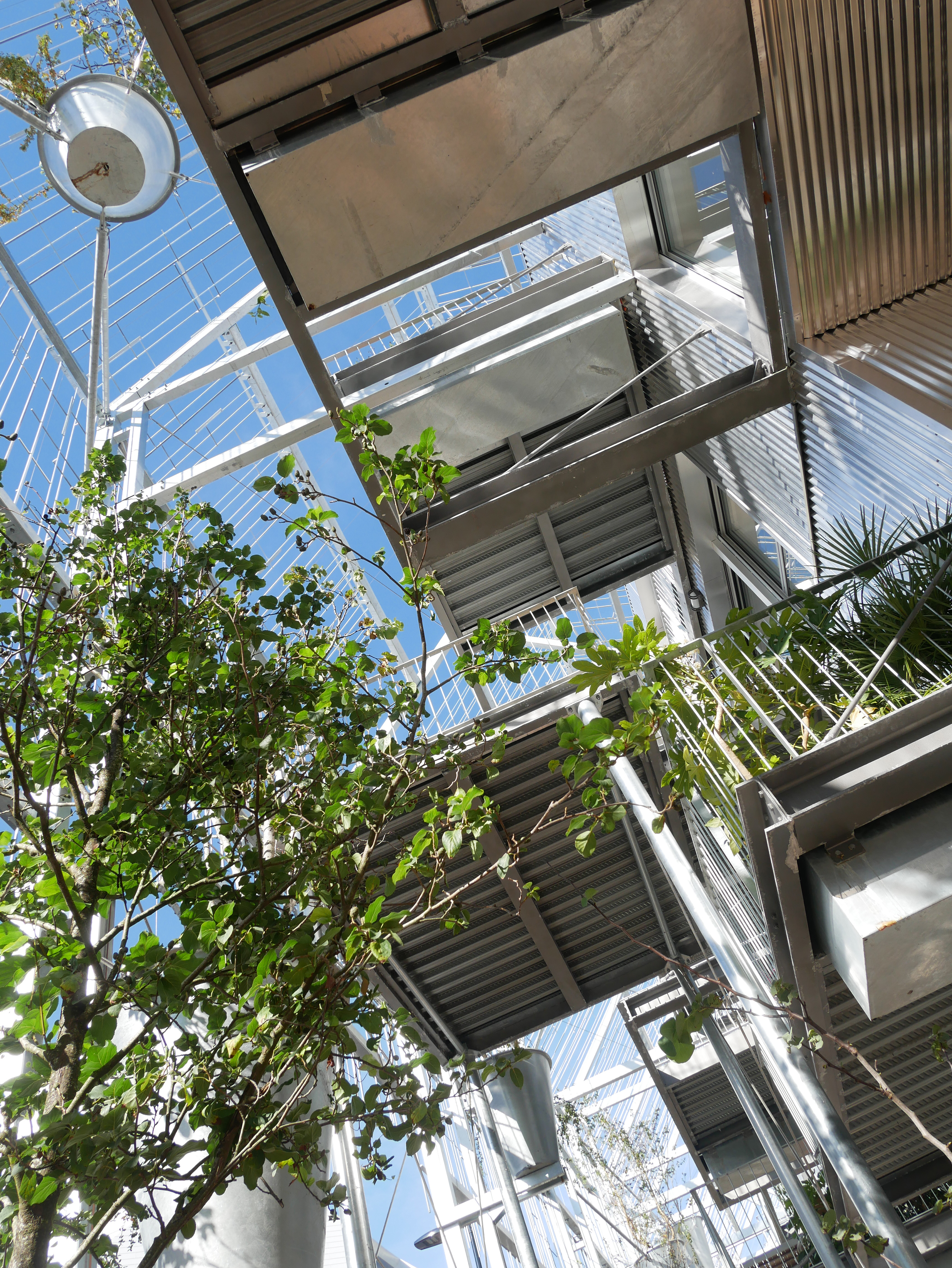 埃科丨Duncan Lewis SCAPE ARCHITECTURE-20