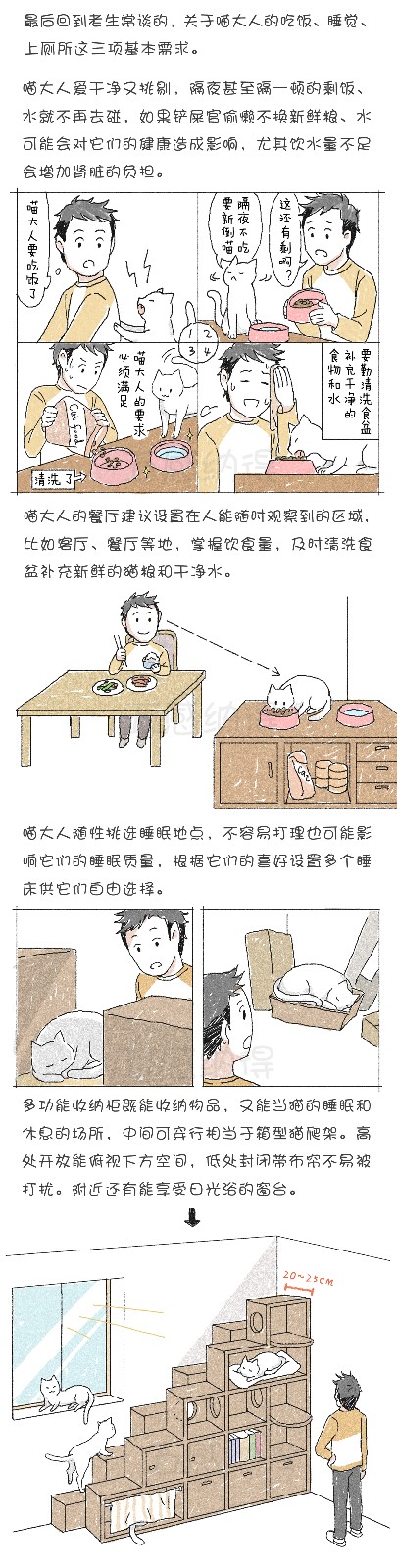 猫之「游乐家」——室内设计打造猫咪天堂-6