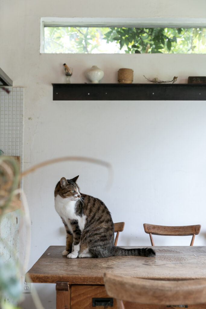 建築デザイナーの自邸　鎌倉の緑豊かな高台に建つ 居心地の良い小さな平屋 | Style of Life | 100%LiFE-5