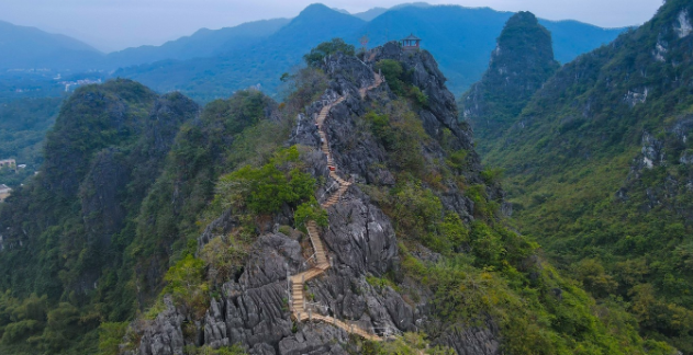 亚泰赋能阳春农业产业链升级：阳春冷链物流园筑就大湾区农产品流通新枢纽~-17