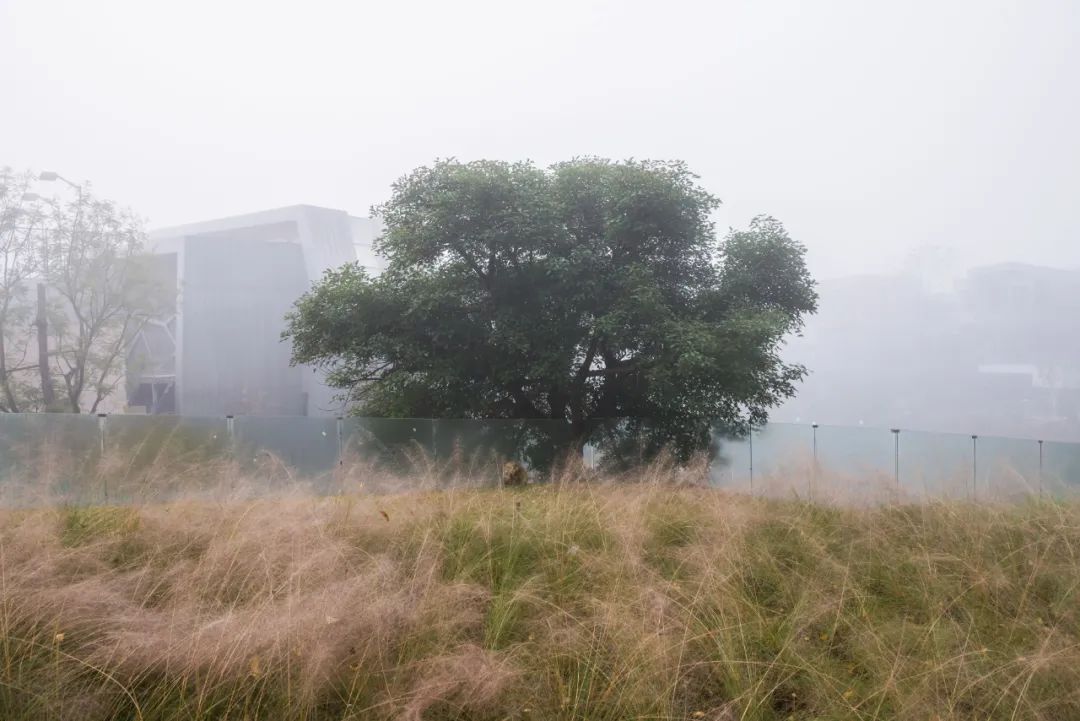 麓阶(Lu·el Lake)-116