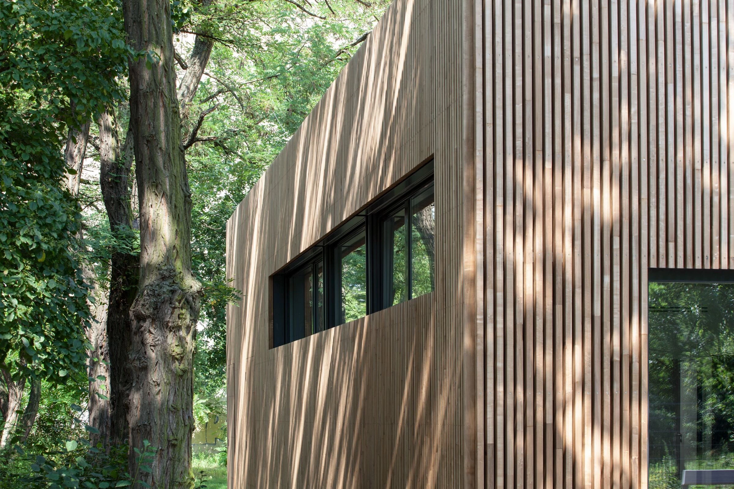 柏林École Voltaire 学校咖啡厅-14