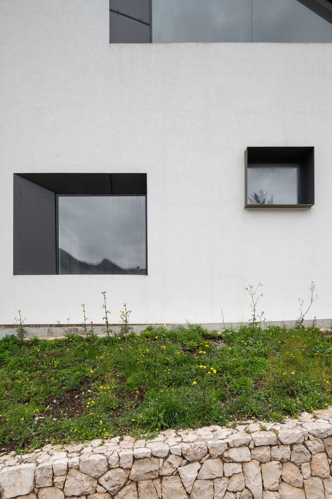 House of Olives by ARHINGinženjering-25