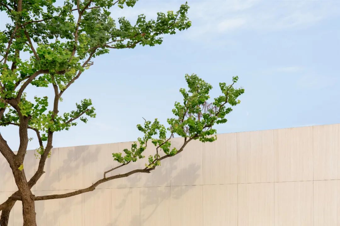 重庆万科璞园丨中国重庆丨WTD纬图设计-42