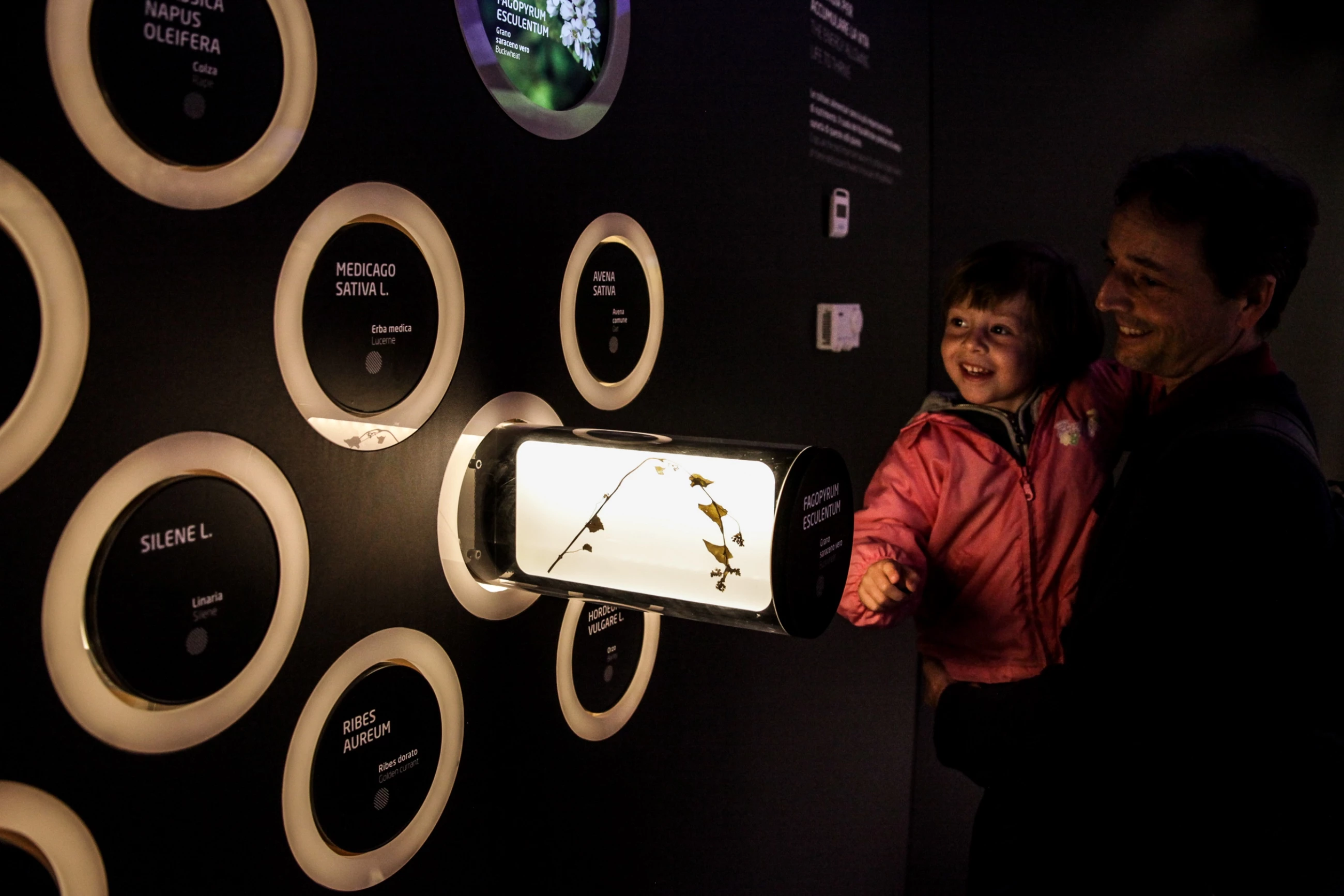 哈萨克斯坦 2015 世博会展馆 | 呈现传统与现代的和谐共生-15